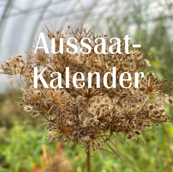 Aussaatkalender (automatisch zu jeder Bestellung) [Digital]