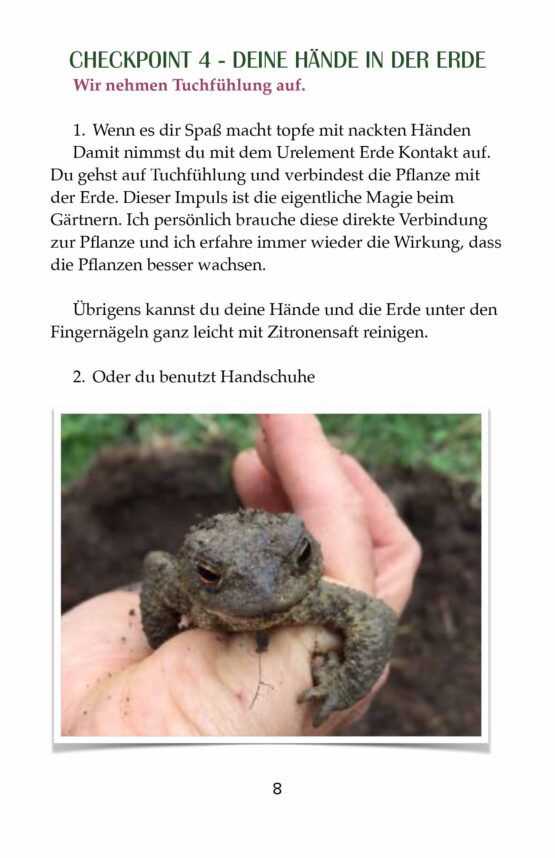 Crashkurs Nr. 1 - ebook - "Gärtnern für Anfänger" [Digital] – Bild 3