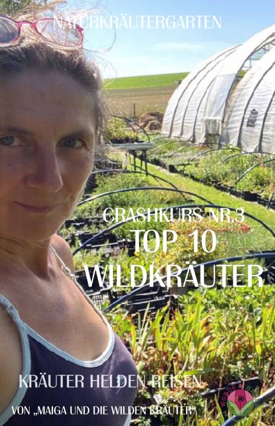 Crashkurs Nr. 3 - ebook - Top 10 Wildkräuter [Digital]