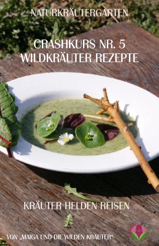 Crashkurs Nr. 5 - ebook - "Kräuter Rezepte" gratis download [Digital]